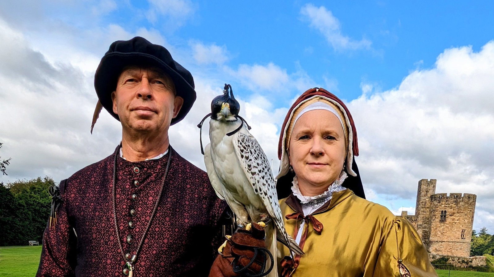 Tudor Falconry