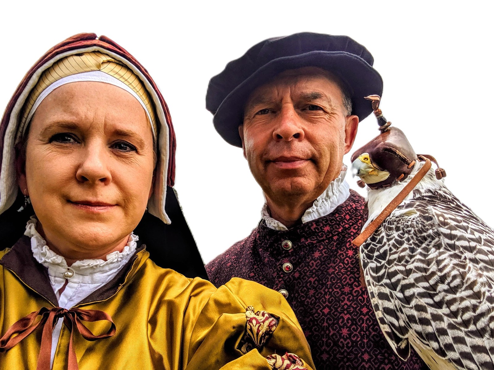 Tudor Falconers
