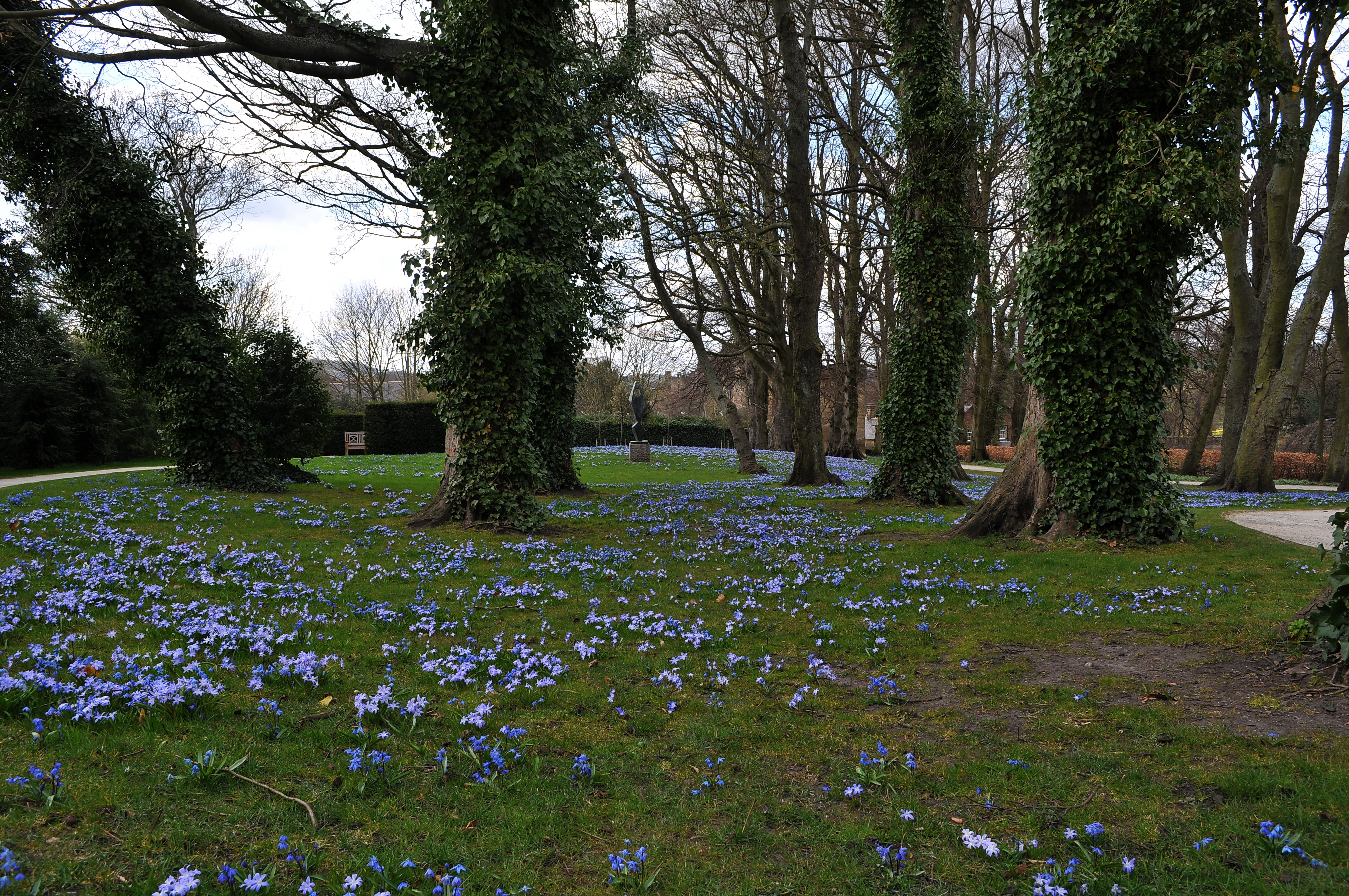 Photos Of The Alnwick Garden In March 1