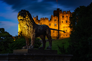 Darran Lambert IMG 5254 1