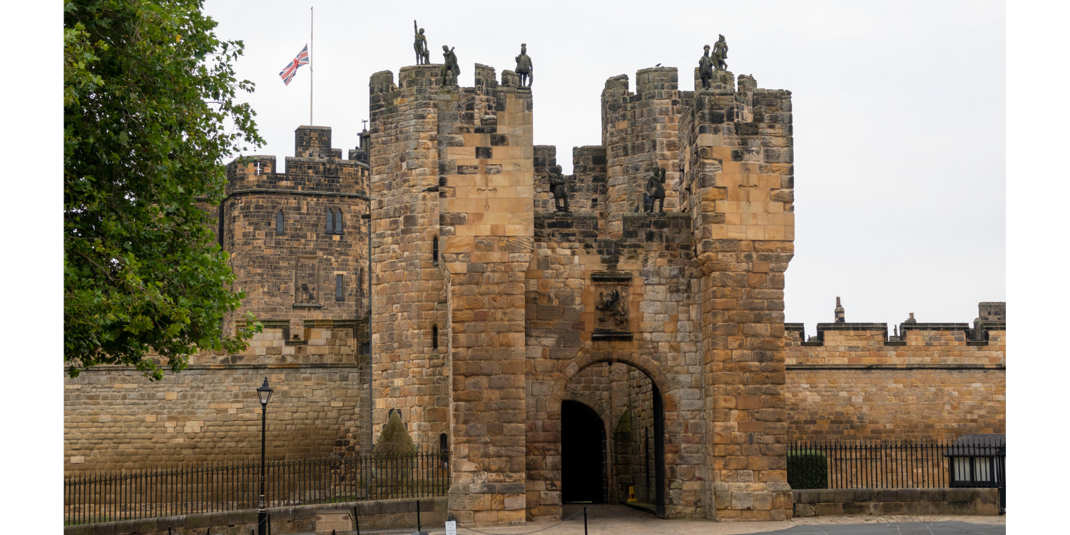 Untitled Design (18)