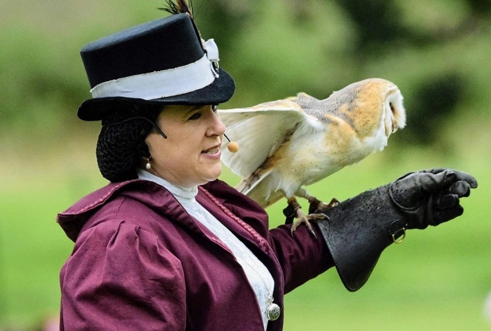 Victorian Lady & Owl 2 (1)