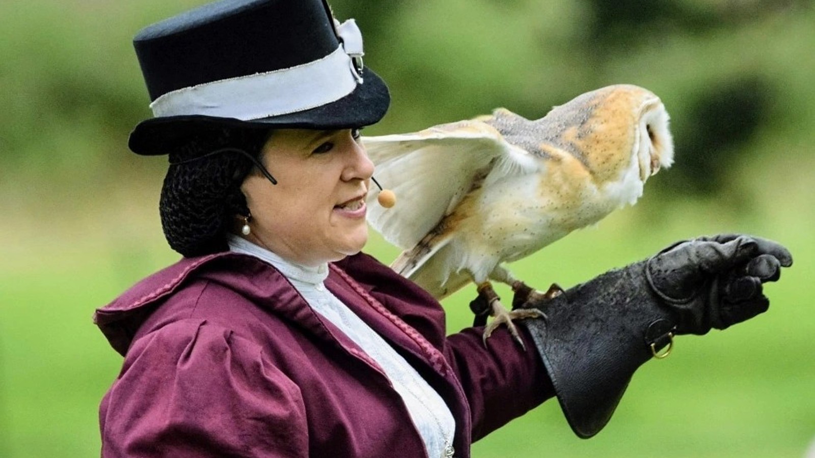 Victorian Lady & Owl 2 (1)