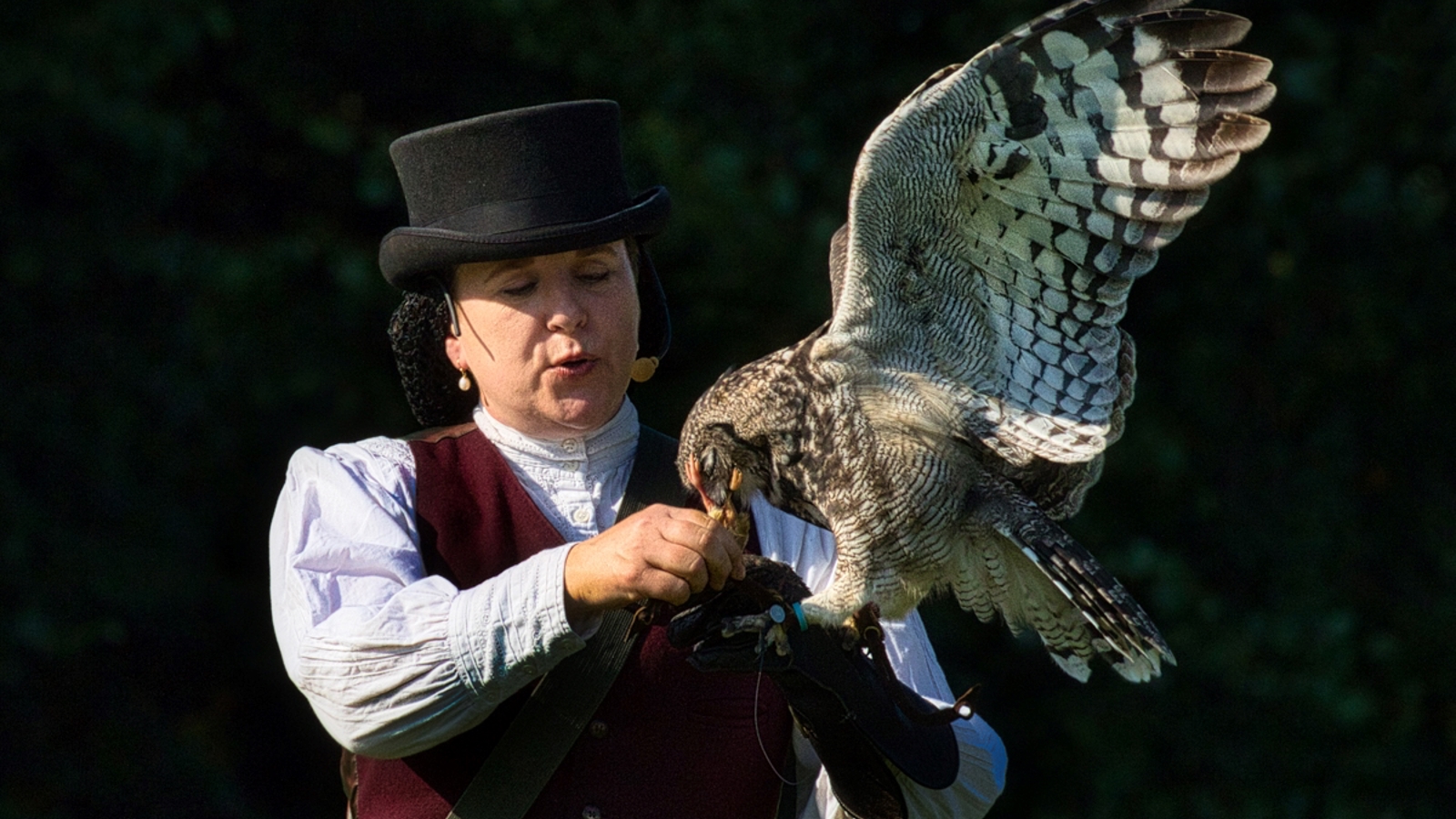 Victorian Lady & Owl