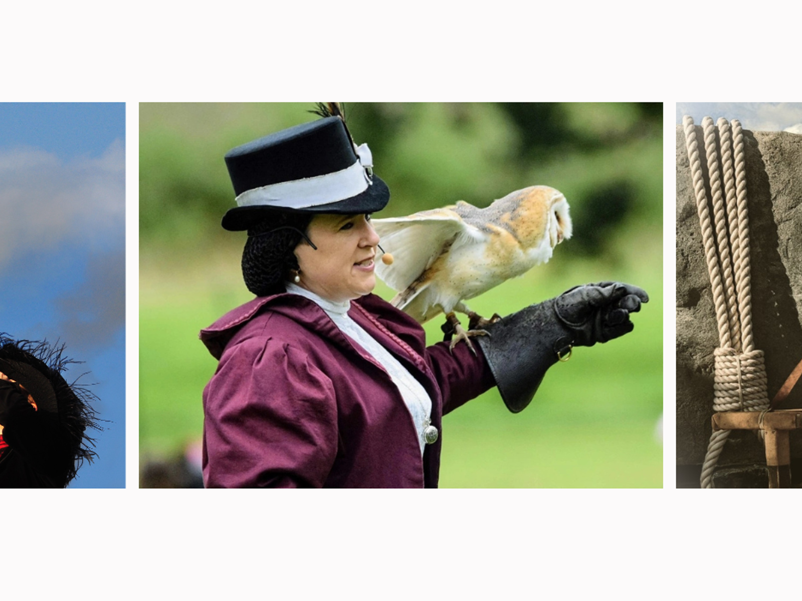 Hero Falconry Vic